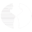 Bodies Plastic Surgery Logo